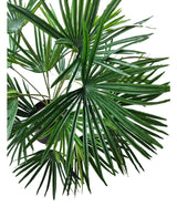 De Kunstplant Baby Palm Fan in pot UV 50 cm heeft grote, waaiervormige groene bladeren met lange, puntige segmenten - ideaal om een weelderig tropisch tintje te geven aan interieurs met sierpotten.
