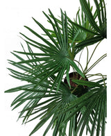 Bovenaanzicht van de Kunstplant Baby Palm Fan in pot UV 50 cm, met weelderig groene, waaiervormige bladeren die stralen vanuit stijlvolle sierpotten tegen een witte achtergrond.