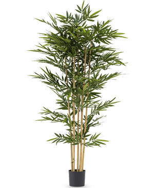 Piante Finte Bamboo 210 cm