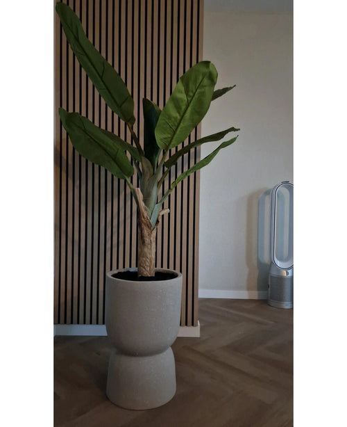 Il Banano Artificiale 150 cm con grandi foglie verdi si trova su un pavimento di legno davanti ad una parete di legno con doghe. Sulla destra c'è un moderno ventilatore senza pale nella stanza con pareti e pavimento neutri.