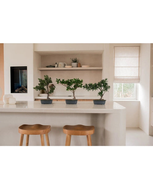 Tre piante artificiali Bonsai Ficus da 40 cm in vasi rettangolari si trovano su un'isola da cucina bianca con due sgabelli in legno. Mensole con piatti e piante, una finestra e luci soffuse completano l'arredamento minimalista.