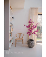 In een minimalistische kamer staat een houten stoel naast een grote stenen pot met de Kunstplant Bougainvillea 150 cm Paars, waarvan de levendige paarse bloemen de ruimte opfleuren in de buurt van een raam met gordijnen en een boekenplank, terwijl het zonlicht een rustige, luchtige sfeer creëert.