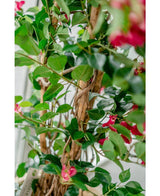 Close-up van de Kunstplant Bougainvillea Liana Fuchsia 115 cm, met weelderige groene bladeren, houtachtige ranken en levendige roze bloemen. De verstrengelde stengels en bladeren creëren een mediterrane sfeer in zacht natuurlijk licht.