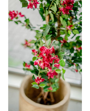 De Kunstplant Bougainvillea Liana Fuchsia 115 cm met bloemen en groene bladeren staat prachtig bij een raam, waar het zachte licht de mediterrane sfeer binnenshuis versterkt.