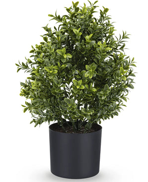 De Kunstplant Buxus Romeinse stijl UV 36cm is een weelderig groene kunstplant in pot met dichte, kleine bladeren in een eenvoudige zwarte ronde pot, perfect om groen toe te voegen aan elke ruimte.