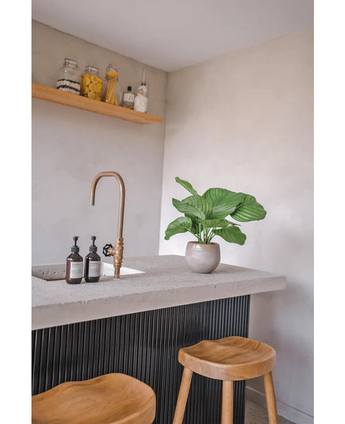 Una cucina moderna con piano di lavoro in cemento, rubinetto dorato, pianta di Calathea artificiale da 46 cm, dispenser di sapone, due sgabelli in legno e uno scaffale con barattoli di cibo e ingredienti contro una parete di colore chiaro.
