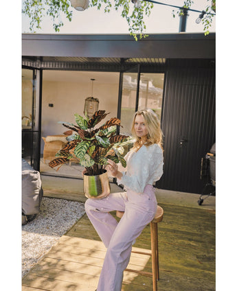 Een blonde vrouw in een witte blouse en lichtpaarse broek zit buiten op een krukje met de Kunstplant Calathea Makoyana UV 75 cm rode potplant, op een houten vlonder voor een modern huis met glazen deuren.