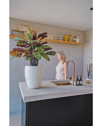 De Kunstplant Calathea Makoyana UV 75 cm rood, met levendige groene en paarse bladeren, staat op een modern keukeneiland met een gouden kraan; een vrouw in een lichte jurk is vaag op de achtergrond bij een beige muur en decoratieve plank.
