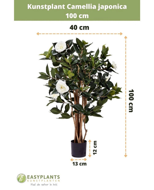 Pianta artificiale Camellia japonica alta 100 cm e larga 40 cm, fornita in vaso nero da 13x12 cm. La rosa giapponese ha foglie verdi e fiori artificiali bianchi, raffigurati con dimensioni.