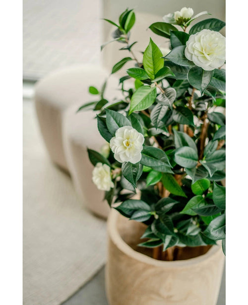 La pianta artificiale Camellia japonica da 100 cm con foglie verdi lucide e fiori bianchi è posizionata in interni accanto a una sedia leggera e un tappeto strutturato.