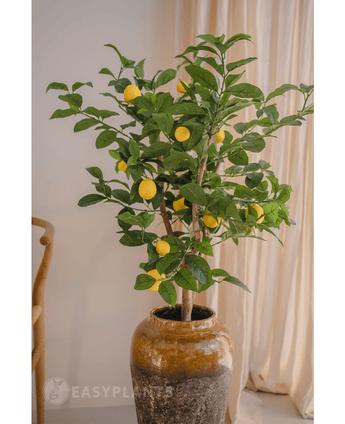 De Kunstplant Citroenboom 90 cm, met groene bladeren en gele citroenen, staat in een bruine pot van keramiek naast een houten stoel en crèmekleurige gordijnen.
