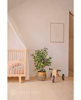 Een gezellige kinderkamer met een houten wieg, de Kunstplant Citroenboom 90 cm (een citroenboom in pot met bladeren), een kleine houten driewieler met het label MIA en minimalistische muurkunst. Een lichte houten vloer en zachte tinten creëren een rustige sfeer.