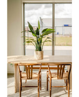 Een lichte, moderne kamer met twee houten stoelen aan een lichte tafel. Een Kunstplant Cycus Palm Deluxe 95 cm voegt levendig groen toe aan de tafel, terwijl grote ramen op de achtergrond de ruimte vullen met natuurlijk licht.