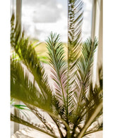 Een close-up van de groene bladeren van de Kunstplant Cycus Palm Deluxe 95 cm met zonlicht dat door een raam op de achtergrond schijnt en een zachte en heldere sfeer creëert.