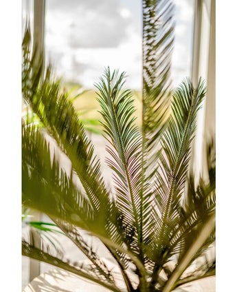 Een close-up van de groene bladeren van de Kunstplant Cycus Palm Deluxe 95 cm met zonlicht dat door een raam op de achtergrond schijnt en een zachte en heldere sfeer creëert.