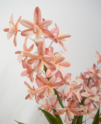 De Kunstplant Cymbidium 58 cm roze heeft lichtroze en perzikkleurige orchideeën met groene stelen en bladeren tegen een effen witte achtergrond.