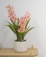 De Kunstplant Cymbidium 58 cm roze, een groene plant met lange bladeren en lange stelen met lichtroze bloemen in een witte pot van keramiek, staat op een lichte houten tafel tegen een effen witte muur.