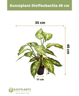 Kunstplant Dieffenbachia 40 cm: groene bladeren met witte patronen. Hoogte 40 cm, breedte 35 cm. Pot Ø11 cm, hoogte 9,5 cm. Perfect voor sierpotten. Easyplants Kunstplanten logo onderaan.
