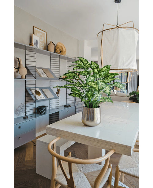 Sala da pranzo moderna con tavolo bianco, sedie in legno e una pianta di Dieffenbachia artificiale di 75 cm come elemento centrale. Scaffali con libri e decorazioni fiancheggiano la parete di fondo e una grande lampada è appesa sopra il tavolo.