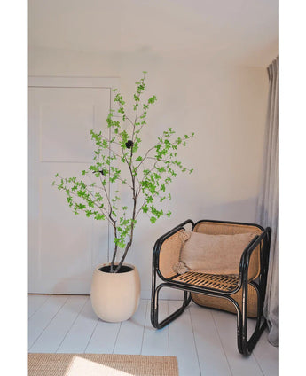In een minimalistische kamerhoek staat de Kunstplant Enkianthus 210 cm, een bladgroene potplant naast een rotan stoel met zwart frame op een witte houten vloer, met neutrale muren en een lichtbeige gordijn.
