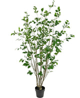 De Kunstplant Ficus 180 cm is een hoge kunstplant met meerdere slanke bruine stengels en weelderige groene bladeren tegen een witte achtergrond.