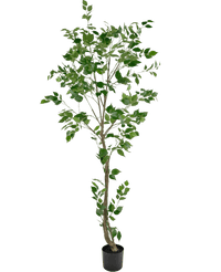 Piante Finte Ficus 210 cm