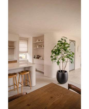 Een moderne keuken met lichte muren, houten krukjes op het aanrecht, open planken met servies, een Kunstplant Ficus 210 cm die groen toevoegt en een houten eettafel met stoelen. De ruimte is licht met natuurlijk licht.