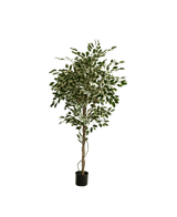 De Kunstplant Ficus Exotica 165 cm heeft bonte groene en witte bladeren aan meerdere slanke takken in een eenvoudige zwarte pot, tegen een effen witte achtergrond.