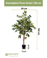 Kunstplant Ficus Groen 120 cm is 120 cm hoog en 50 cm breed, met gedraaide stengels en weelderige bladeren in een zwarte pot (13x12 cm). Een stijlvol nep Ficus accent. Easyplants logo en branding onderaan.