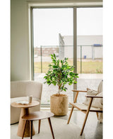 Een gezellige woonkamerhoek met een pluche fauteuil, een houten stoel met kussens, ronde houten bijzettafeltjes en een Kunstplant Ficus Groen 120 cm naast een groot raam met uitzicht op de stad.
