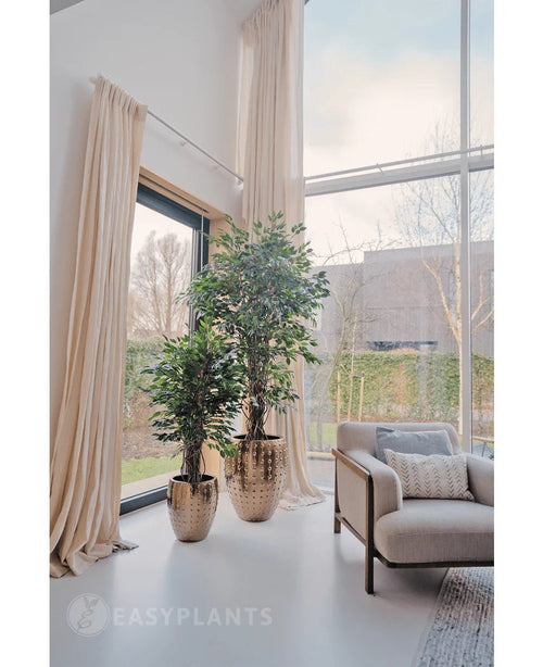 Due piante artificiali Ficus Liana da 180 cm in vasi color oro lucido si trovano vicino a una grande finestra con lunghe tende color crema in un soggiorno luminoso e moderno con una poltrona beige e un cuscino strutturato. All'esterno sono visibili alberi e un edificio.