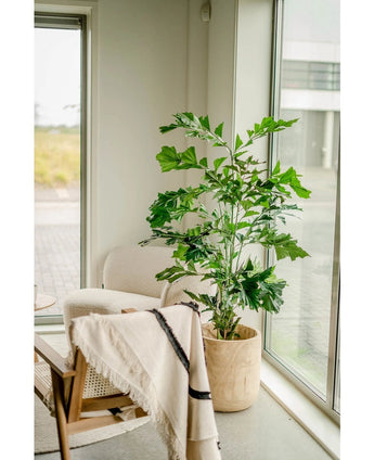 De Kunstplant Fishtail Palm 160 cm staat in een pot naast een gezellige fauteuil met een lichte plaid, in een lichte kamer met grote ramen die veel natuurlijk licht binnenlaten.