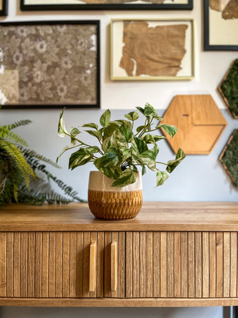 De Kunstplant Gouden Wijnstok in Pot 25cm staat op een houten kast met verticale groeven, met ingelijste kunst en zeshoekige wanddecoratie op de lichtgekleurde muur erachter.