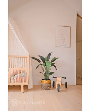 Een minimale kinderkamer met een licht houten wiegje, Kunstplant Heliconia 110 cm, houten speelgoed en eenvoudige muurkunst in een lichte, opgeruimde kamer - perfecte inspiratie voor kleine ruimtes inrichting.