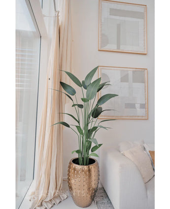 De Kunstplant Heliconia 180 cm in een goudkleurige plantenbak staat bij een raam met transparante gordijnen, naast een witte bank. Twee abstracte kunstwerken hangen erboven - perfect voor wie een kunstplant wil kopen.