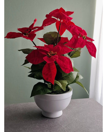 De Kunstplant Kerstster 44 cm rood, met zijn levendige rode bloemen en groene bladeren, staat op een grijs oppervlak tegen een lichtgroene muur die baadt in zacht natuurlijk licht van rechts.