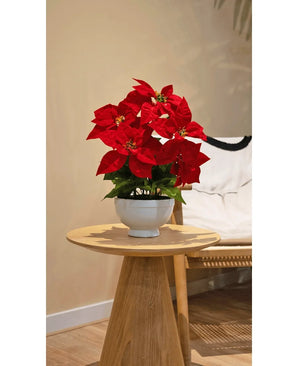 La pianta artificiale Stella di Natale rossa da 44 cm, con vivaci fiori rossi in un vaso bianco, si trova su un tavolino rotondo in legno accanto a una sedia dal tocco beige in una stanza accogliente e delicatamente illuminata.