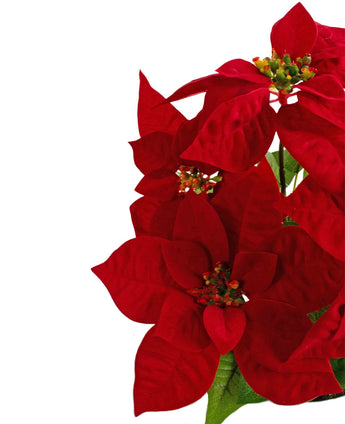 De Kunstplant Kerstster 44 cm rood heeft helderrode kerststerbloemen met groene harten en bladeren, aan de rechterkant tegen een effen witte achtergrond.