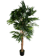De Kunstplant Longfolia 180 cm is een kunstboom in pot.