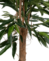 Een close-up van de Kunstplant Longfolia 180 cm toont de boomstam met lange, smalle groene bladeren en dunne, kronkelende lianen tegen een witte achtergrond.