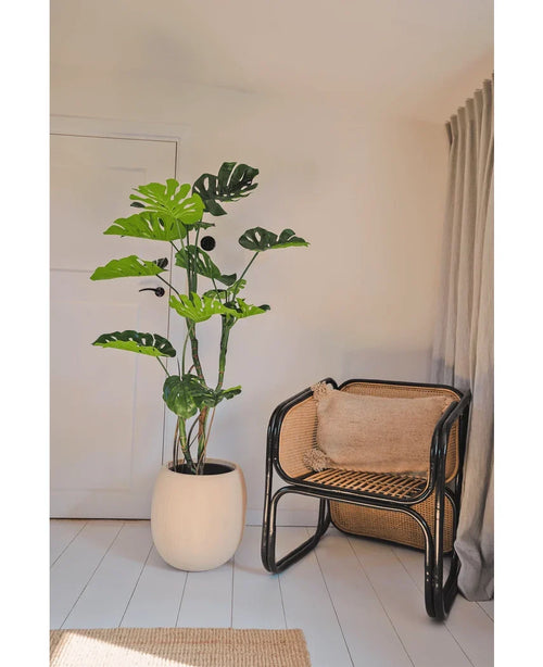 Una pianta artificiale Monstera di 150 cm si trova accanto a una sedia in rattan con un cuscino marrone in una stanza luminosa e minimalista con pareti bianche, pavimenti in legno chiaro e tende beige.
