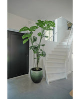 Een Kunstplant Monstera 210 cm staat in een pot op een grijze vloer naast een witte trap met een gebogen leuning in een modern, minimalistisch interieur. Links is een zwarte deur zichtbaar.