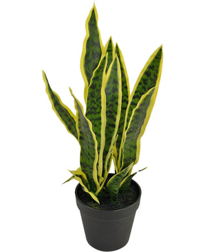 De Kunstplant Sansevieria Laurentii 44 cm heeft lange, rechtopstaande groene bladeren met gele randen en wordt geleverd in een decoratieve pot, tegen een effen witte achtergrond.
