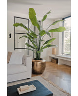 De Kunstplant Strelitzia Nicolai Deluxe 235 cm met brede groene bladeren staat naast een lichte bank in een moderne woonkamer met houten vloeren, een zwarte voetenbank en grote ramen die de ruimte vullen met natuurlijk licht.
