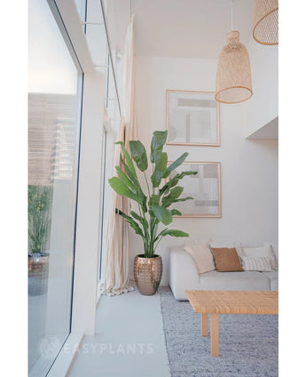 Een moderne woonkamer met grote ramen, beige en witte meubels, geweven hanglampen en abstracte muurkunst. De Kunstplant Strelitzia Nicolai Deluxe 235 cm in een metalen pot geeft een frisse touch aan dit lichte kamerplant interieur.