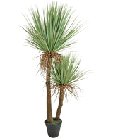 De Kunstplant Yucca Deluxe 153 cm heeft twee hoge, bruine stammen met textuur en trossen lange, puntige groene bladeren en wat verdroogde onderste bladeren tegen een witte achtergrond.