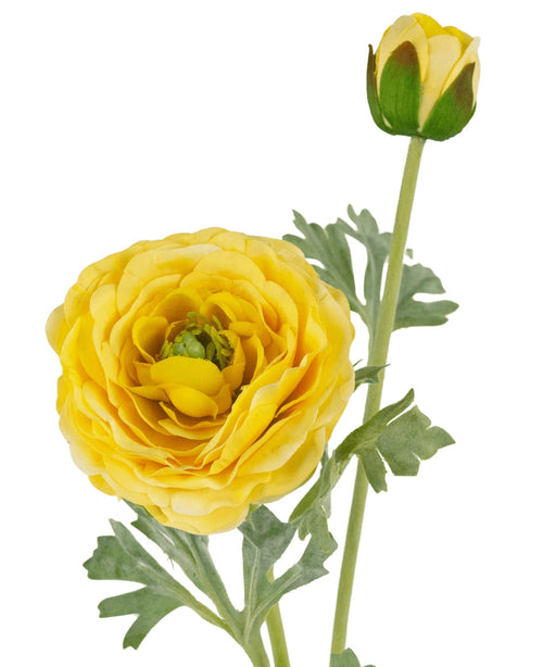 Il Ranuncolo artificiale Real Touch Giallo da 60 cm ha un realistico ranuncolo giallo in piena fioritura, con petali stratificati realistici, un bocciolo giallo chiuso e foglie verdi su uno sfondo bianco.