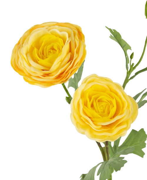 La rosa artificiale "Emine" Real Touch Yellow da 62 cm ha due vivaci ranuncoli gialli con petali stratificati e foglie verdi, splendidamente visualizzati su uno sfondo bianco.
