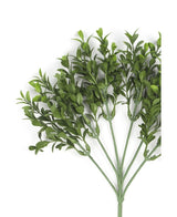 De Kunsttak Buxus 47 cm UV brandvertragend is een levensechte kunstbladerstengel met meerdere takken, gemaakt van hoogwaardige kunststof, uitgewaaierd tegen een effen witte achtergrond.