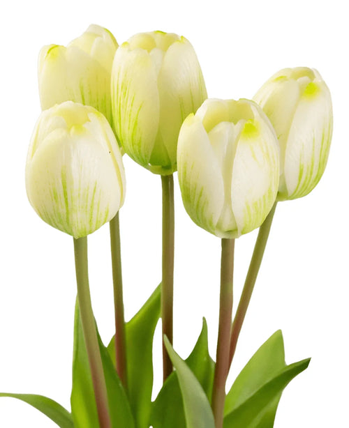 Il bouquet di tulipani artificiali Real Touch Verde/Bianco da 40 cm è composto da sei tulipani giallo chiaro con accenti verdi e lunghi steli verdi, in piedi su uno sfondo bianco con foglie verdi alla base.